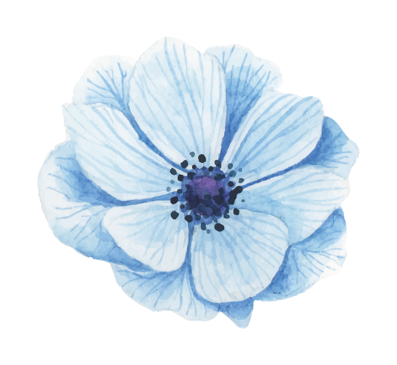 watercolor blue flower trfischer.com